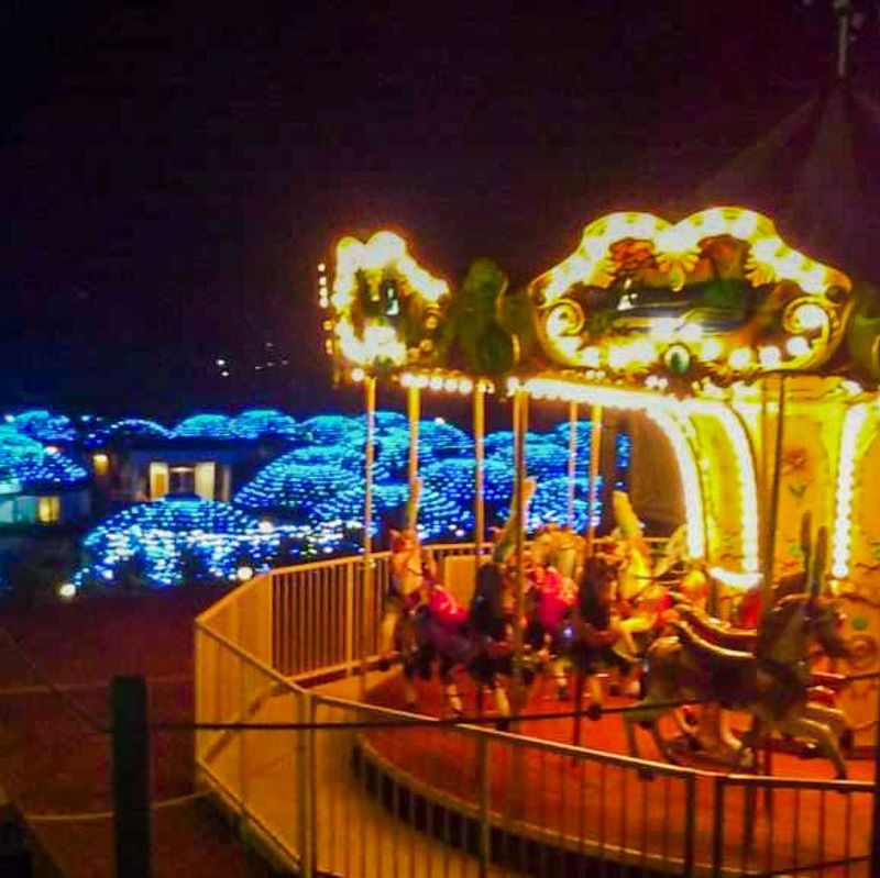 "Magic Forest": Tokinosumika winter illumination 2025 -2026 photo