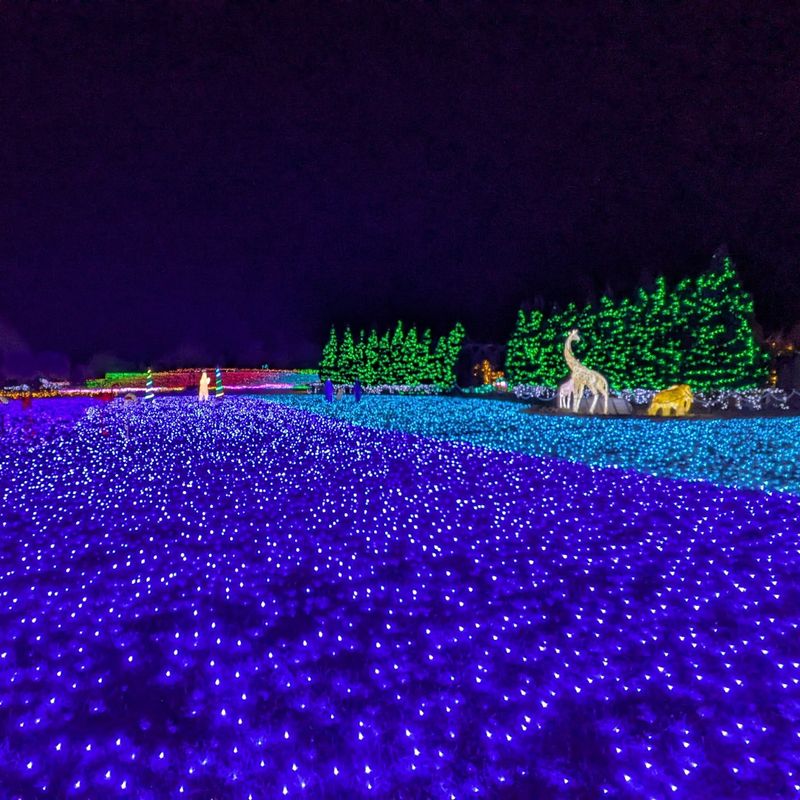 Beautiful illumination at Tobu Zoo  photo
