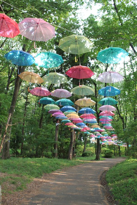 Rainy season ideas: ⑤ umbrella sky photo