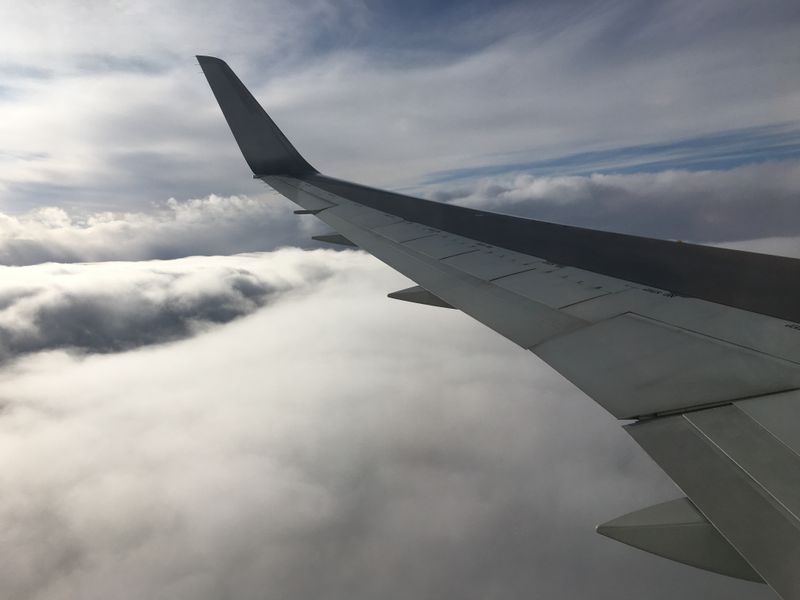 Terbang Tinggi dengan JAL photo