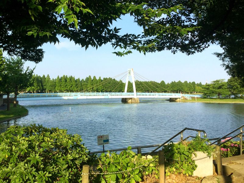 Tokyo’s Mizumoto Park, a natural treasure  photo