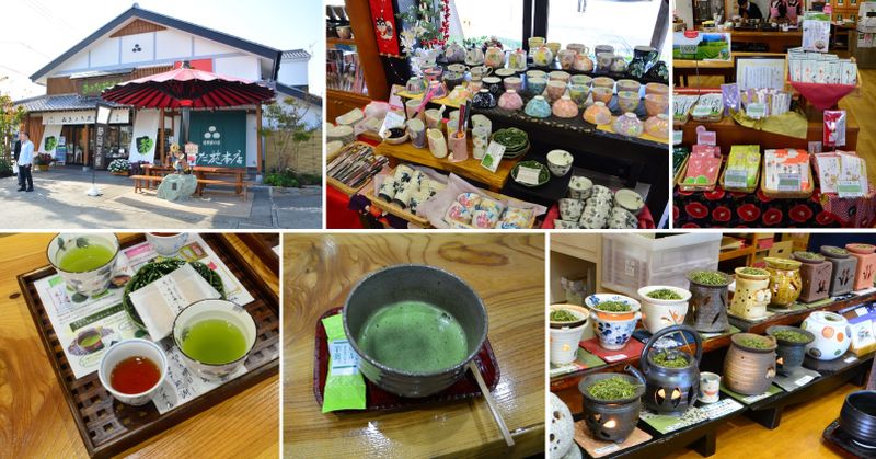 Experience the Green Tea of Mori Town photo