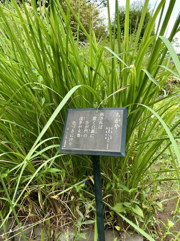 Chiba Prefecture Charms - Manyo Spots photo