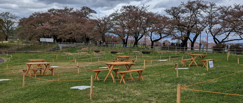 Family Fun at Kitakami Sakura Festival photo