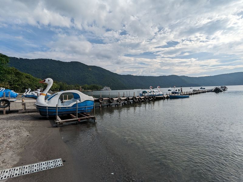 Seven Iconic Places for Swan Boats in Japan photo