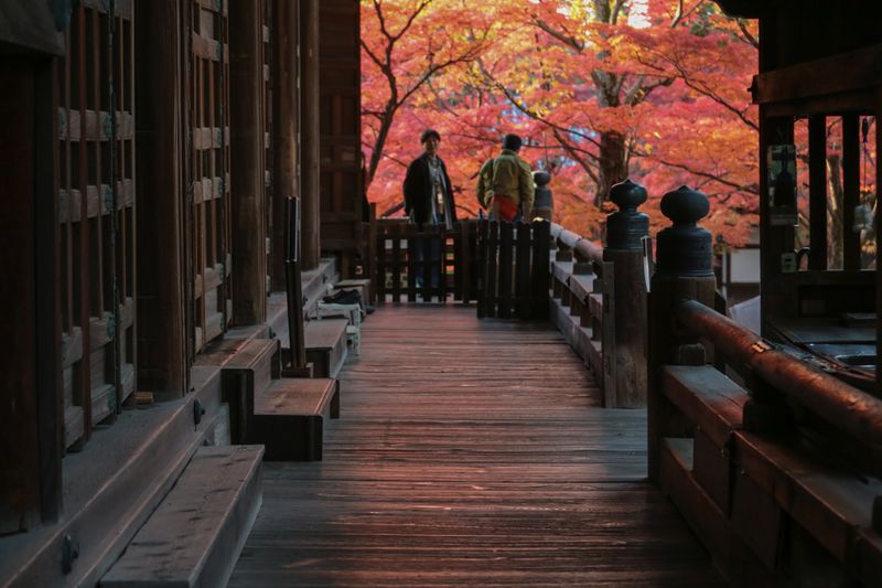 Điểm tốt nhất để xem các lá mùa thu ở Kansai, bao nhiêu chi phí để có được cho họ photo