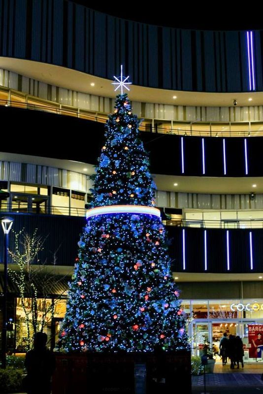 Cocoon City illumintation in 2025 - 2026 photo