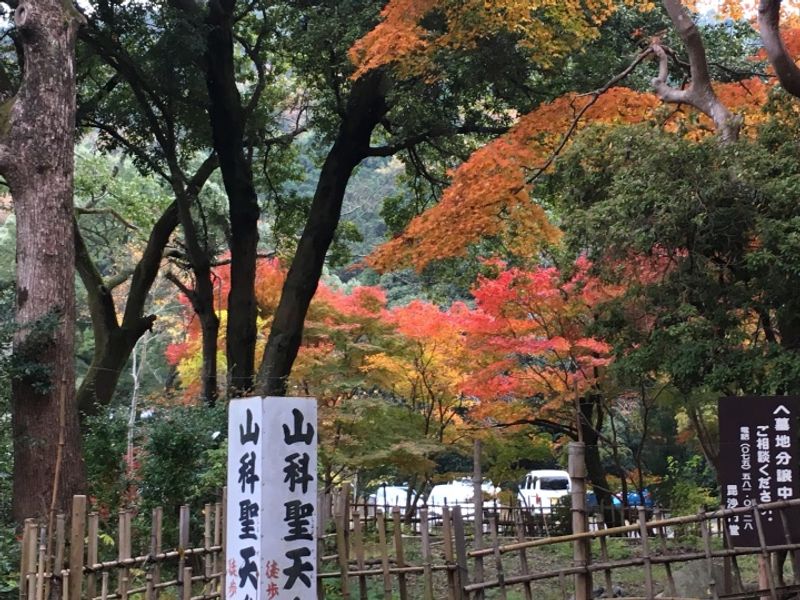Temple visit for autumn colors photo