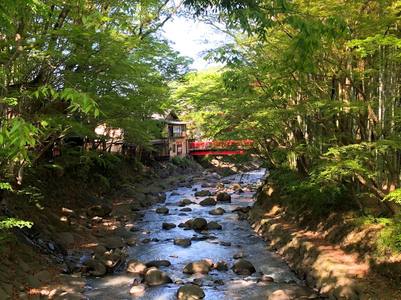 Kawazu Seven Falls, Shuzenji, Numazu: поездка из Токио в Идзу photo