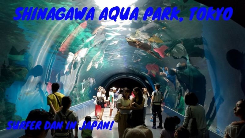 Shinagawa Aquarium Park - Tokyo, Japan! Great Show!!! photo