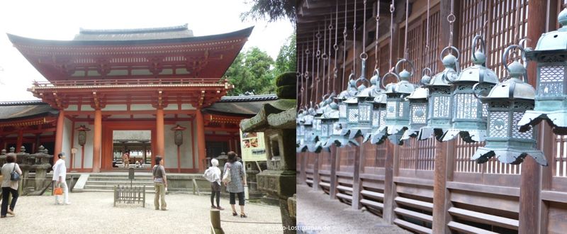 Lima hal terbaik yang harus dilakukan di Nara photo