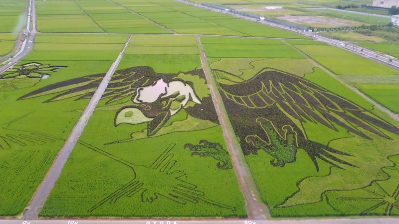 A day trip to see the rice field art of Kodai Hasu No Sato photo