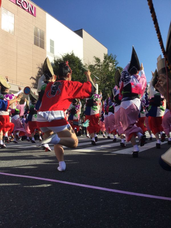 Kamagaya Shimin Matsuri in Autumn 2024 photo