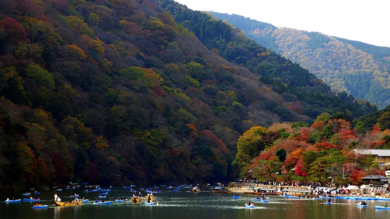 関西の秋の葉を見るのに最適な場所、どのくらいの費用がかかりますか photo