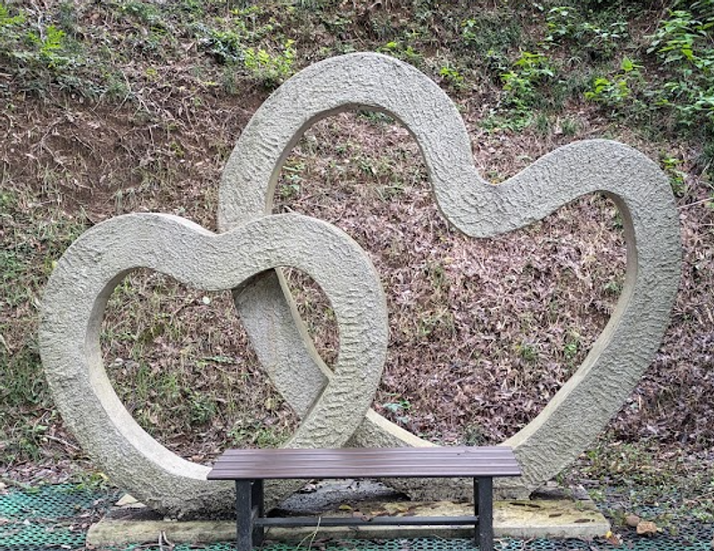 A moving story of "love, hope and courage" photo