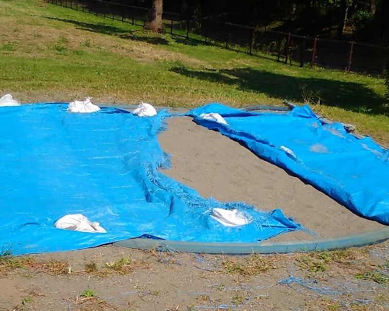 A day for the humble, yet essential blue sheet photo