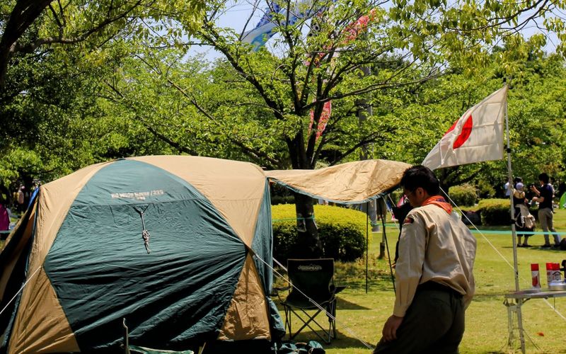 A day for the scouts of Japan photo