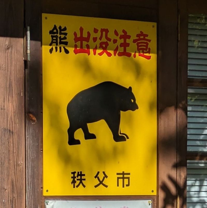 Bear beware, beware of the bear!  photo