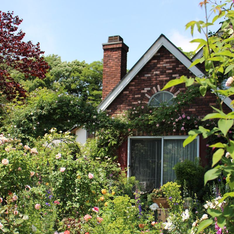 A day for chimneys! photo
