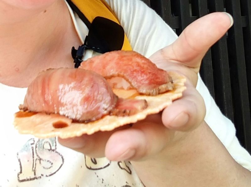 Magome Treat: Hida-gyu Sushi? photo