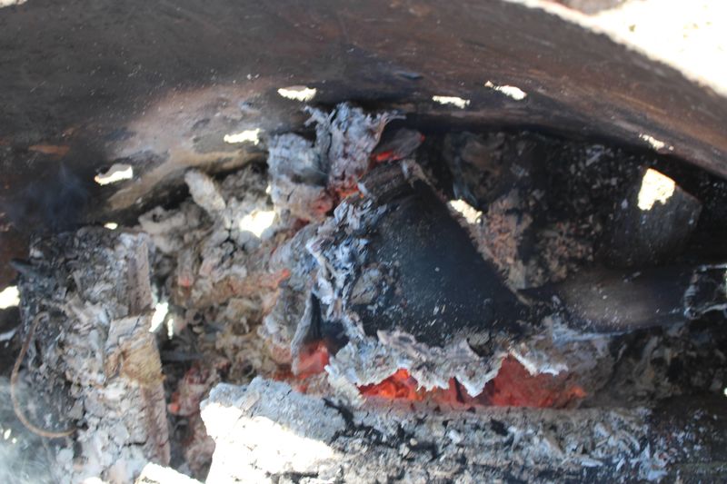 Clean coal day photo