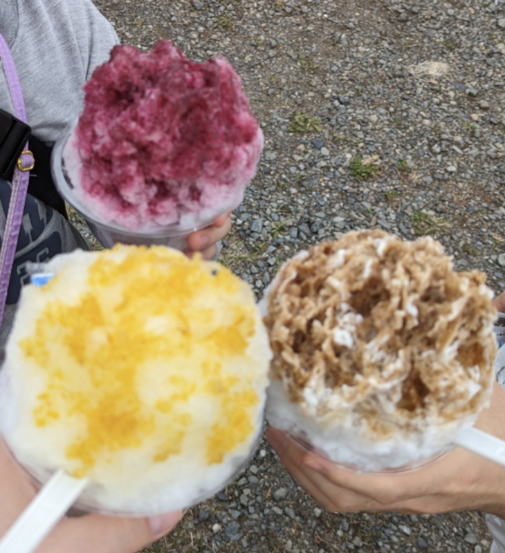 Food Truck Shaved Ice: Too Much Ice, Not Enough Flavors photo