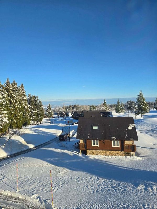 Family, friends, or first loves for Japan teens at Christmas? photo