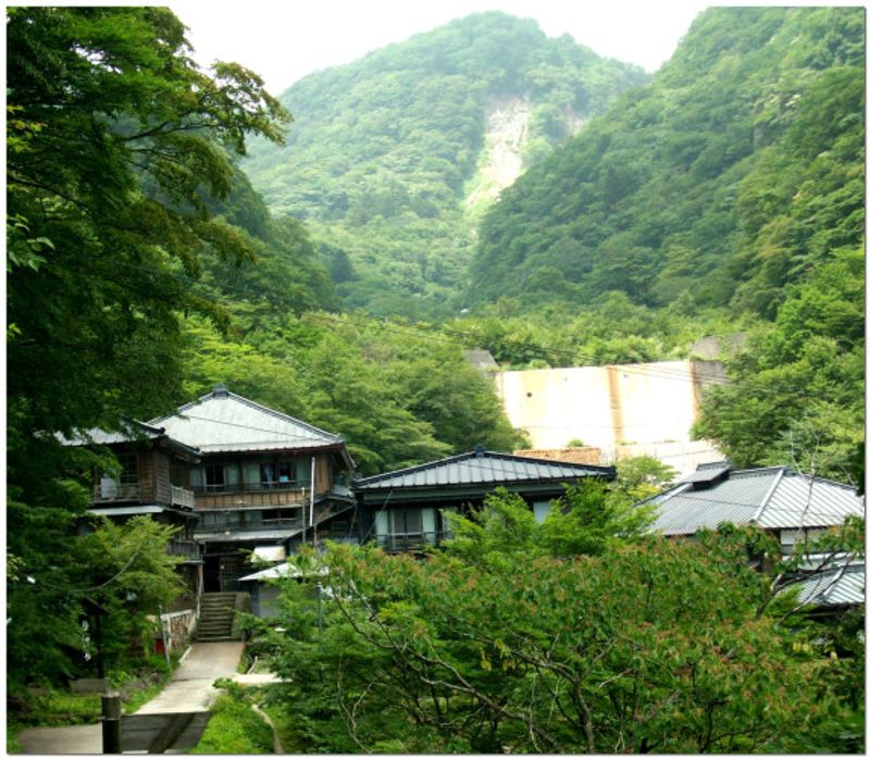 Voulez-vous vivre dans le Japon rural? La campagne pourrait faire d&#39;une main! photo