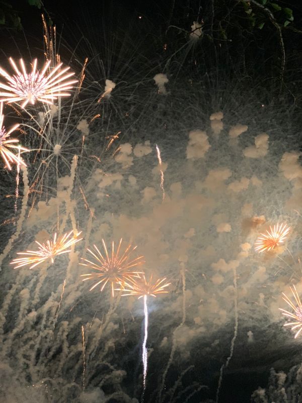 Tsuchiura All Japan Fireworks Competition 2019 photo