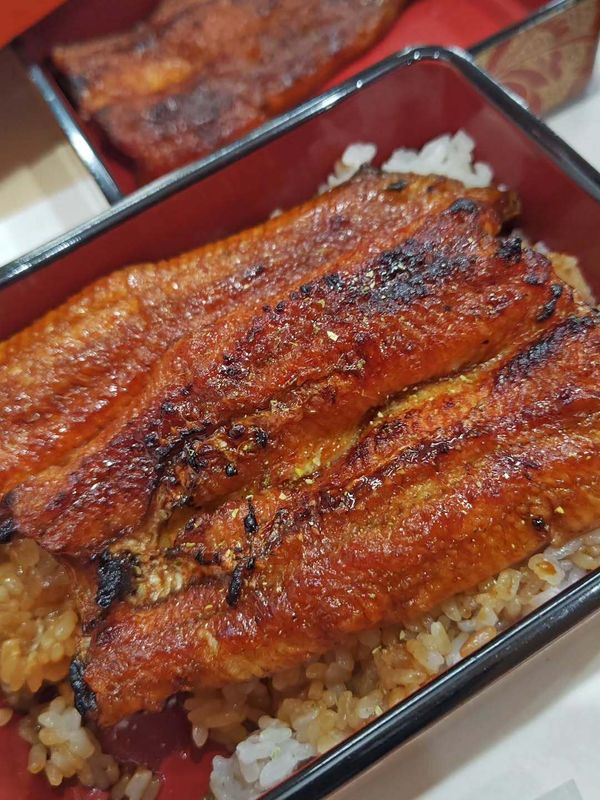 Things I didn't try early on: Unagi photo