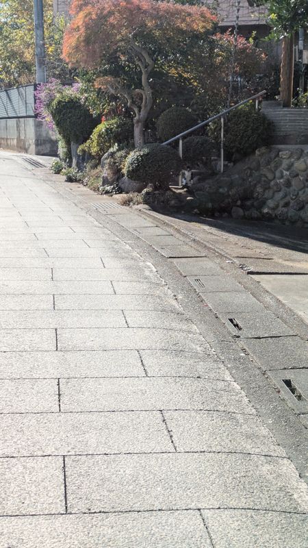 Grateful for Japanese public sanitation photo