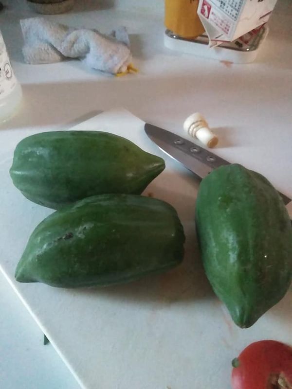More random produce : Green papaya photo