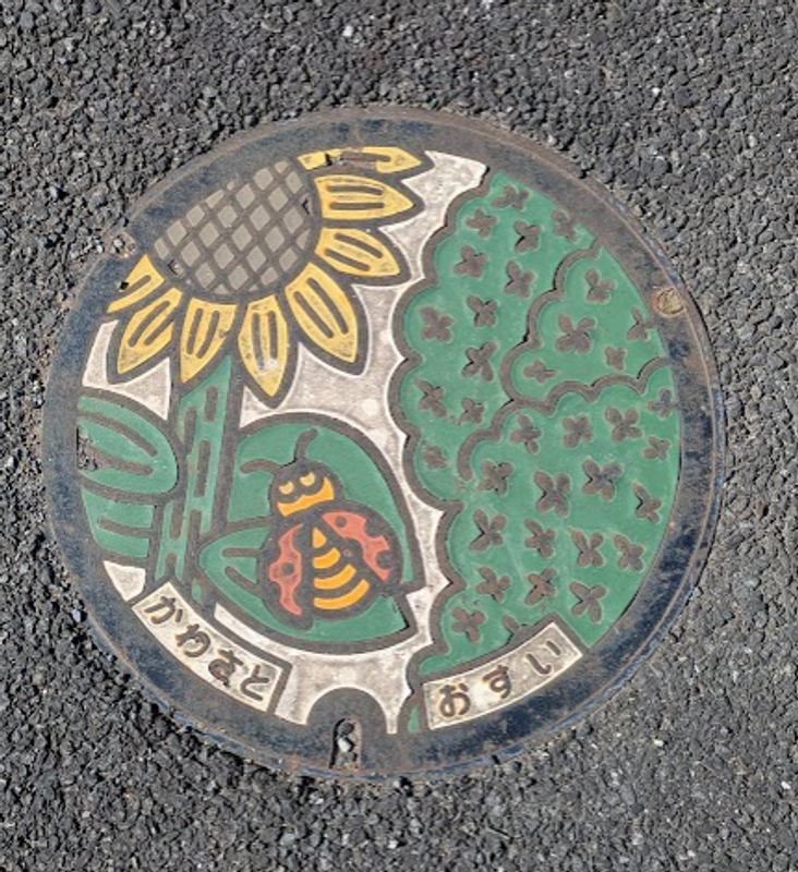 Things I didn't do early on: collect manhole photos photo