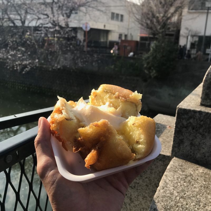 Ookagawa Sakura Festival photo