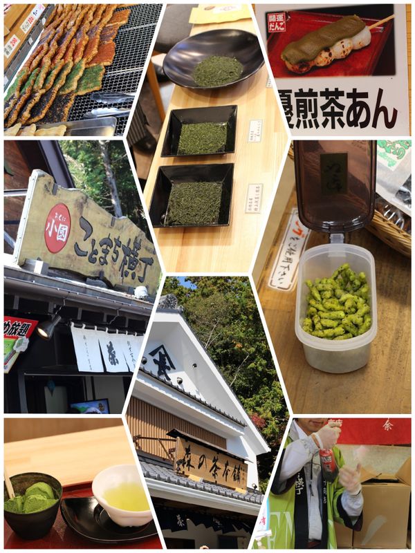 The way of tea: more than just a way of life in Mori-machi Shizuoka photo