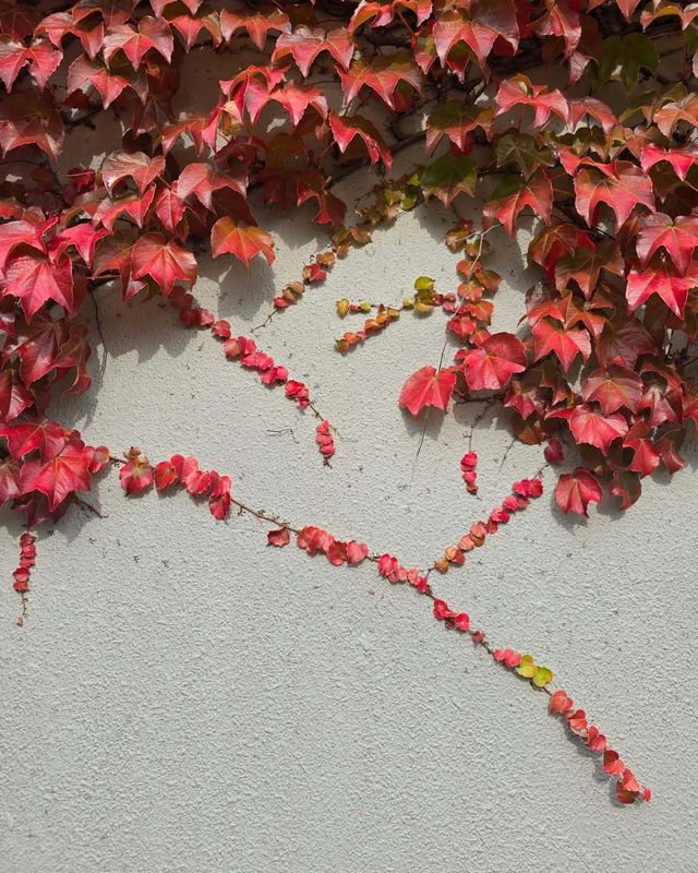 A more global Japan, one municipality at a time photo