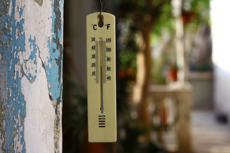 Hari Termometer photo