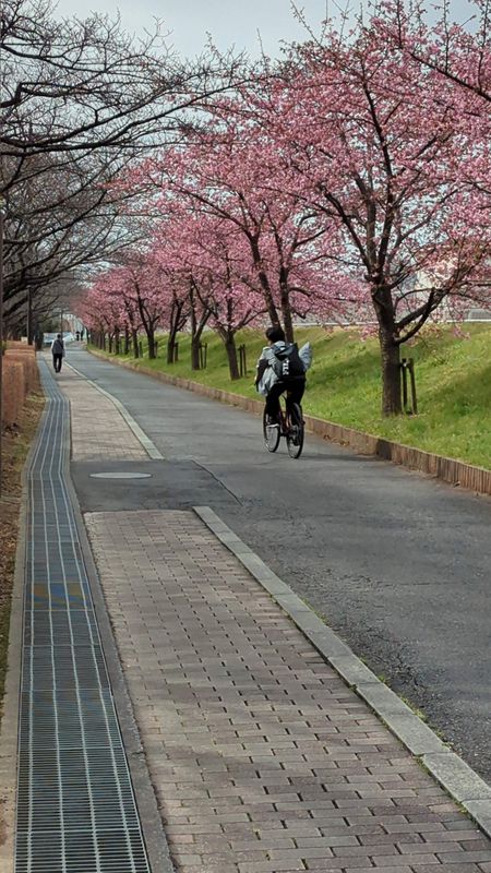 Extending my cycling radius photo