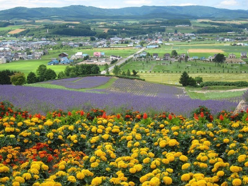 5-day travel itinerary for Hokkaido photo