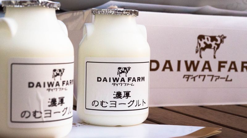 I dream of cheese (from Kobayashi City) photo