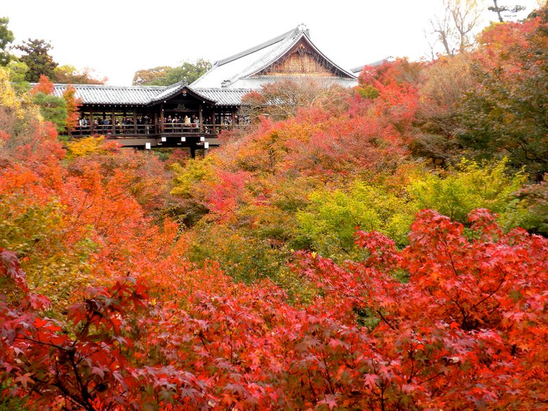 Les meilleurs endroits pour voir les feuilles d&#39;automne au Kansai, combien ça coûte pour... photo