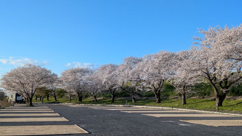 A celebration of the things that make life feel like yours photo