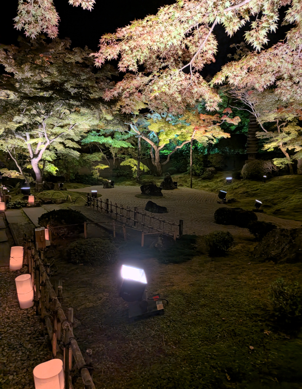Matsushima's Fall Light Up 2025 photo