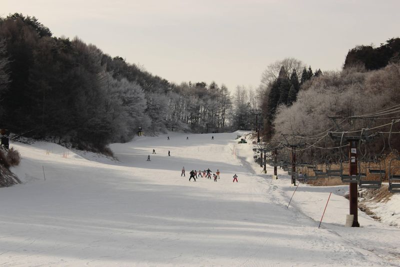 Commemorating the introduction of skiing in Japan photo
