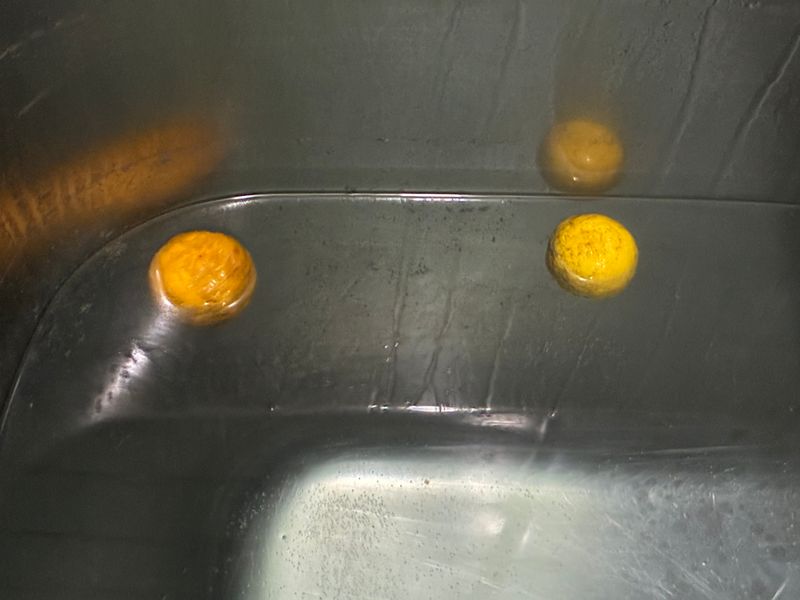 Yuzu Bath 2025 photo