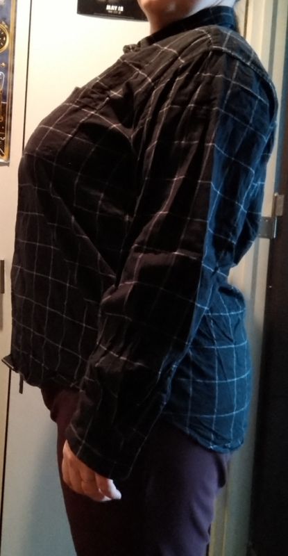 Japanese Flannel Shirts: Curvy Lady Chooses Mens photo