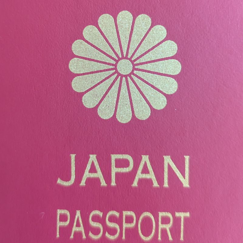 Only 16.8% of Japanese people hold a passport photo