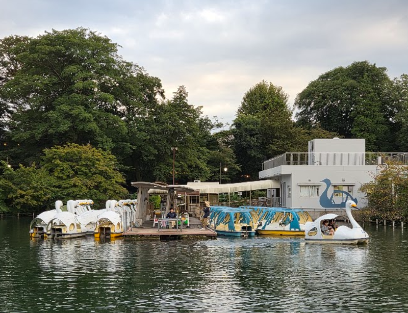 Surprising Boat Ride Price Hikes photo