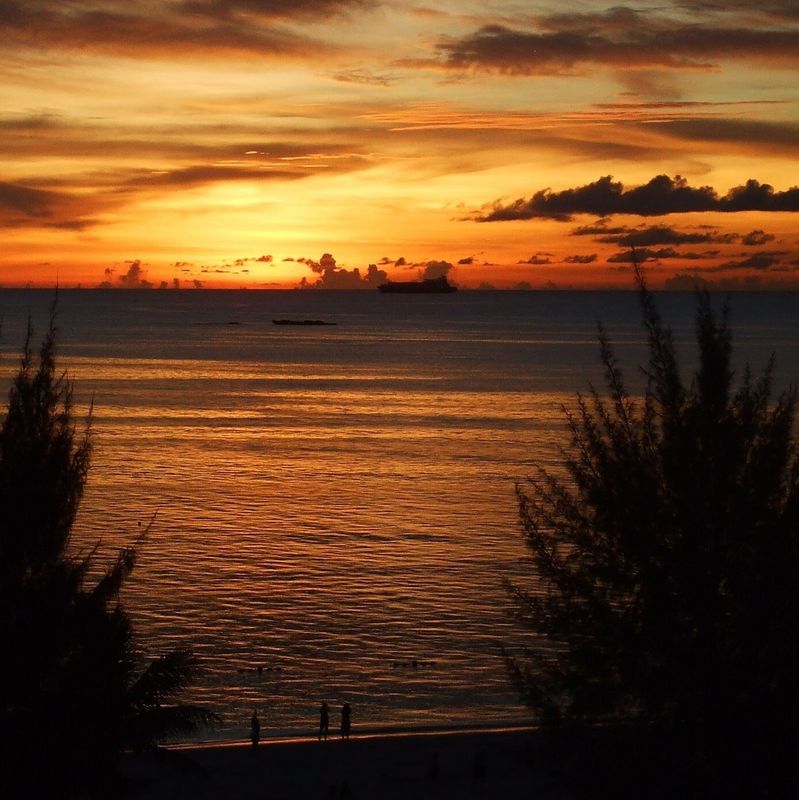 A day for "wa" harmony  photo