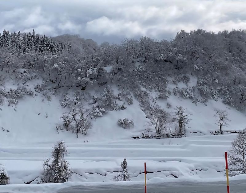 The red and yellow snow country lifelines  photo